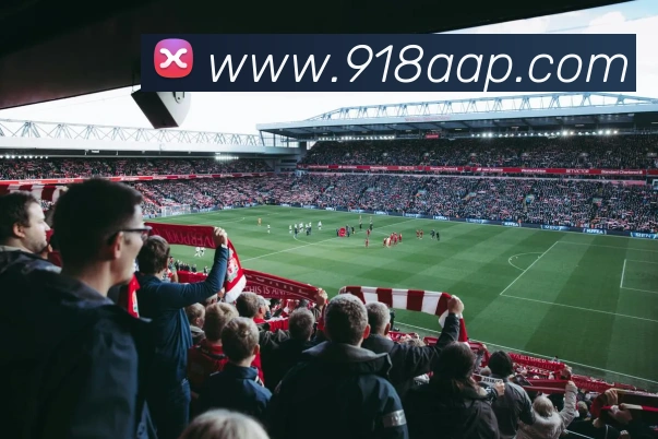 国际认证