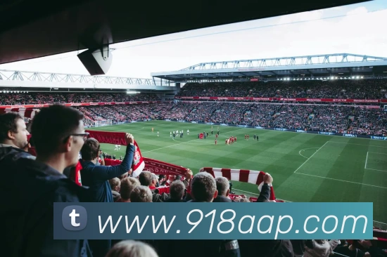 体育赛事